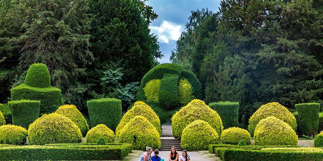 011 Elvaston Trees Topiary Gardens 007 1511158547