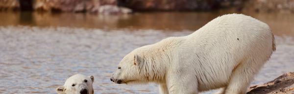 2000 01 01 01 06 13 1 2