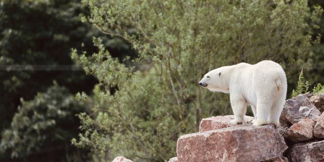 2000 01 01 01 19 39 1