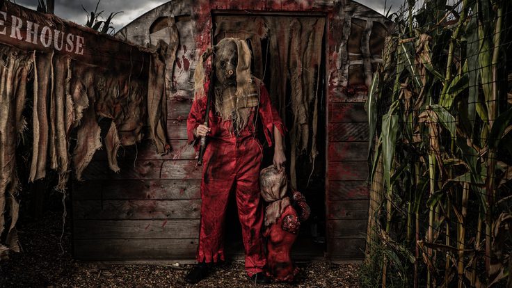 475821867 9173707986053329 7811334227109918318 n