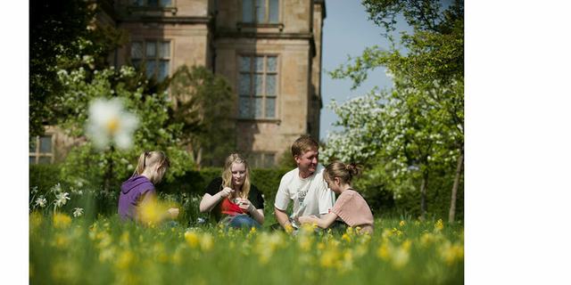 5 Family Spring NT John Millar New 141330082