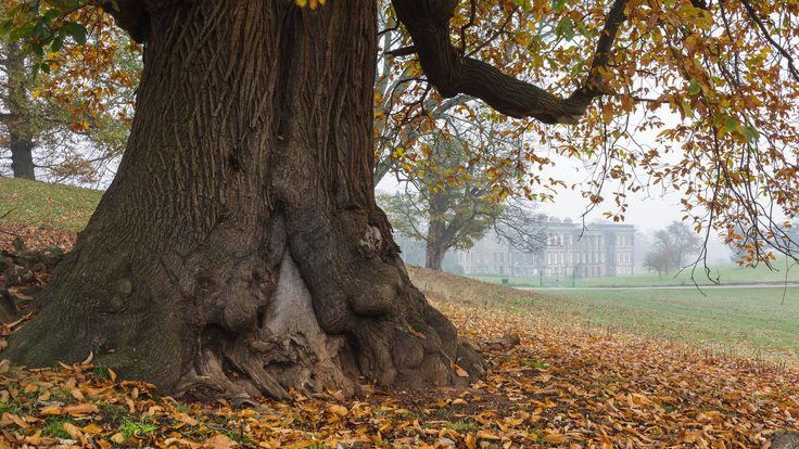 510429172 10052646814804095 2293976099777580765 n