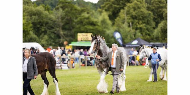 Bakewell Country Show 2024 Horse competitions NEW