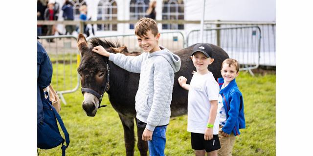 Bakewell Country Show 2024 Lane End donkey NEW
