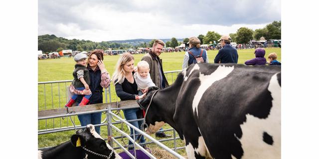 Bakewell Country Show COW 2024 NEW