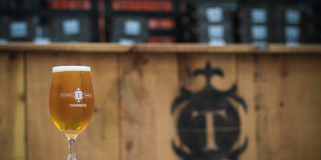 Beer in half stem 922590193