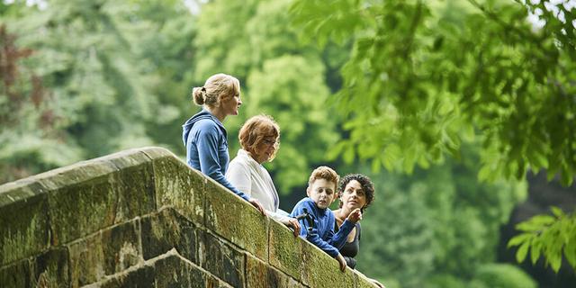 Bertrams bridge in Ilam Park web 299142838