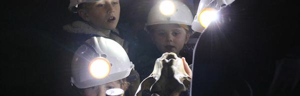 BIRTHDAY PARTY 2 CAVE TOUR 1500142794