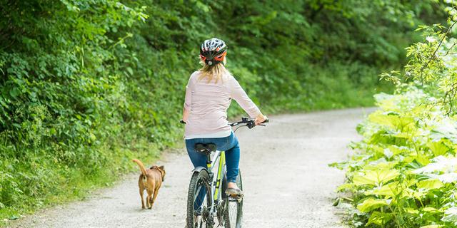 Blackwell Mill Cycle Hire 8 1722468612