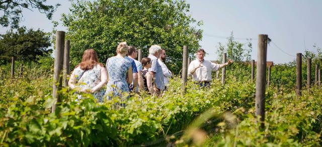 Breweries Vineyards and Distilleries