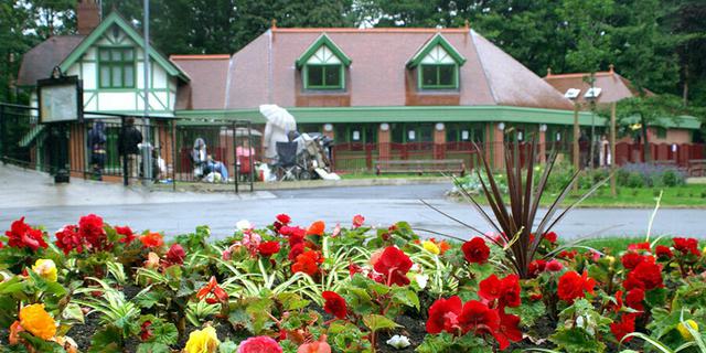 Cafe and Flowers 322509549