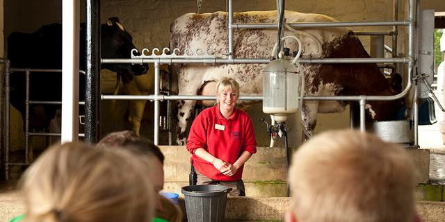 Chatsworth Farmyard 1new 834419486