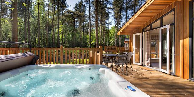 Coppice Pet friendly Lodge 330507165