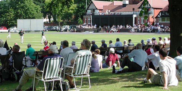 Cricket Festival 856706062