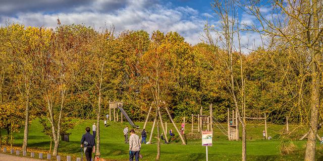 CROP 002 Shipley Park Walkers 011 1513098909