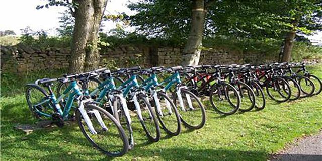 CROP Cycle Hire Bikes 820092641