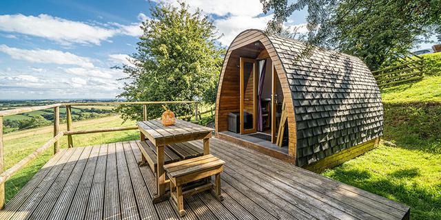 Damson Pod 1734696282