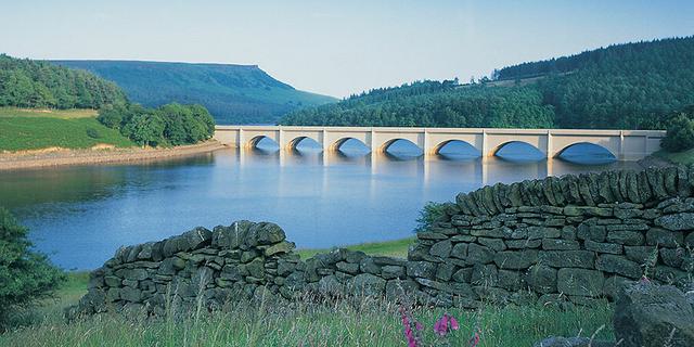 VPDD Standard Derwent Valley Lady Bower1 1 1548350618