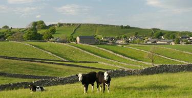 Fields at litton 1 92249059