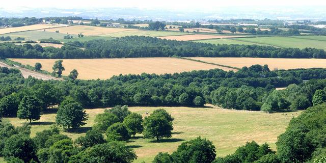 Hardwick Park 2 582407438