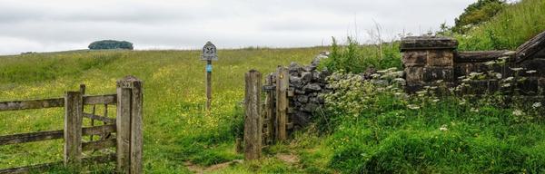 Hartington Walk