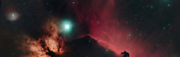 Horse Head Flame VPD Main Image