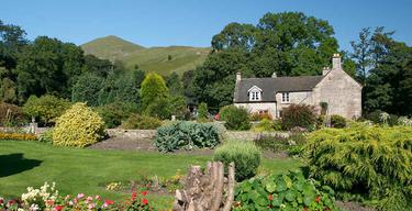 Ilam 1220 x 620 407109296