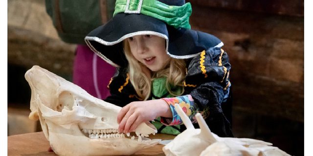 Little school of ecology at haddon hall