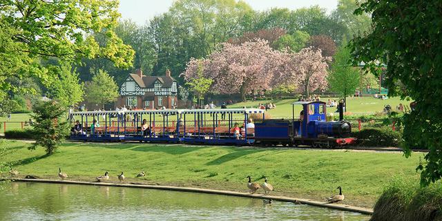 Miniature Train 1888273600