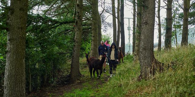 Naze view 6new 274393497