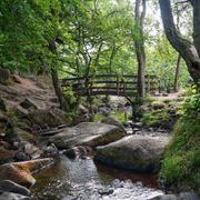 Padley Gorge