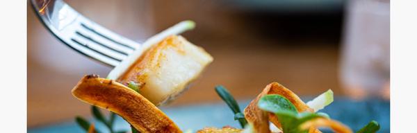 Peak Edge Scallops Peak new