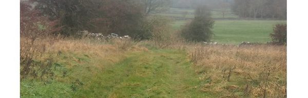 Peak E Pedal Experiences Advanced Tour