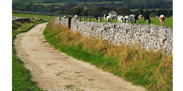 Peak E Pedal Experiences Easy Tour