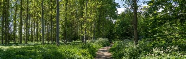 Peaklass VPDD Renishaw 2025 7 1