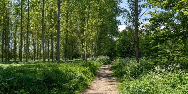 Peaklass VPDD Renishaw 2025 7 1