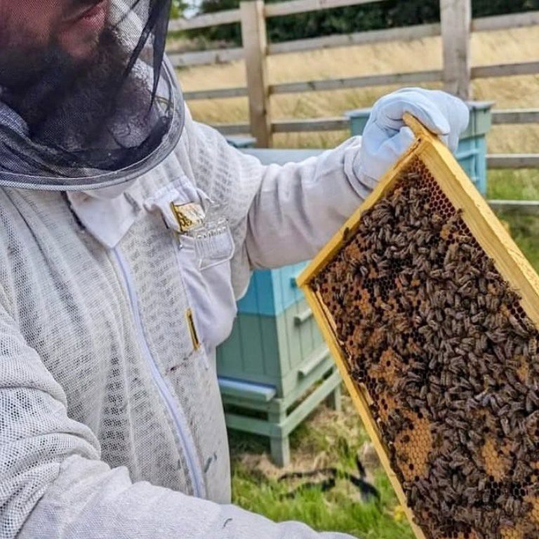 Regenerative Morley Hayes