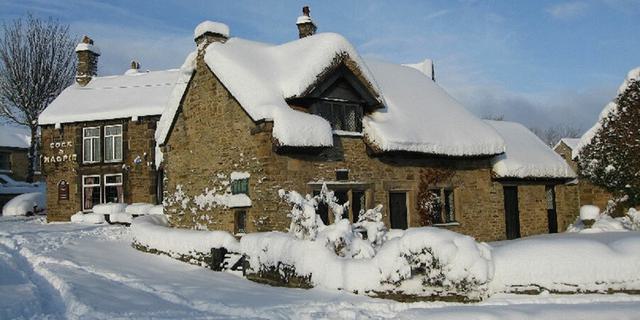 Revolution House Snow 10 1548623308