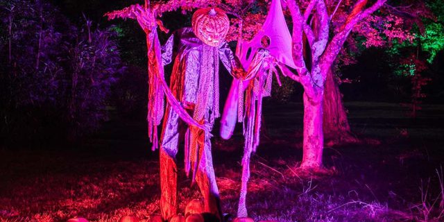 Screamtime at Elvaston Castle 2