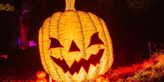 Screamtime at Elvaston Castle