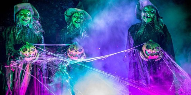 Screamtime at Elvaston Castle