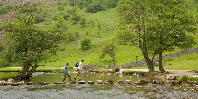 Stepping stone 1705664635