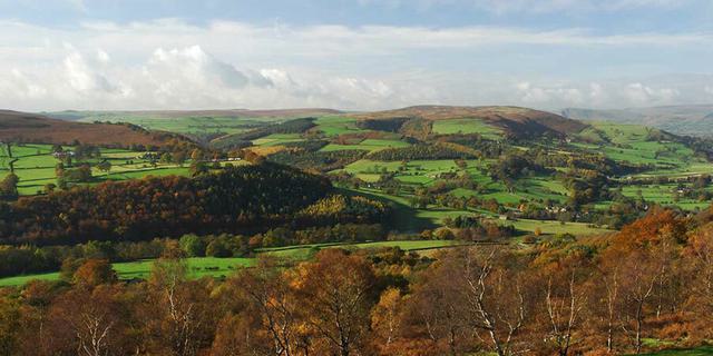 Surprise view 1971036449