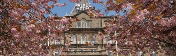 T He Palace Hotel cherry blossom NEW