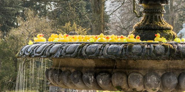 Thornbridge Hall credit Frances Milburn Photography 3 1803460177