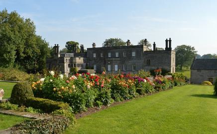 Tissington Hall New flowers NEW