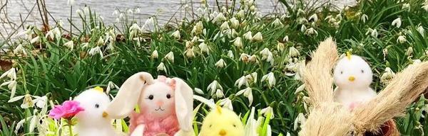 Tittesworth and Draycote Easter trail