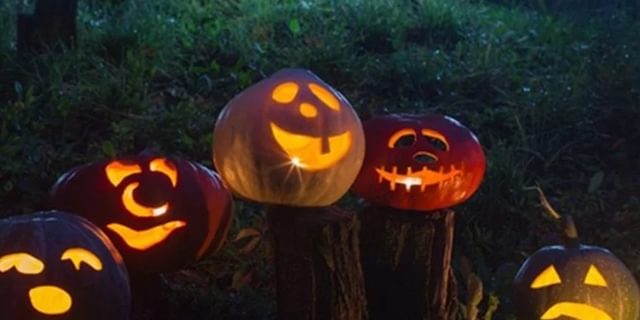 Torchlight pumkin picking at bluebells