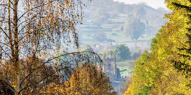 View from Lounge Window 549665386