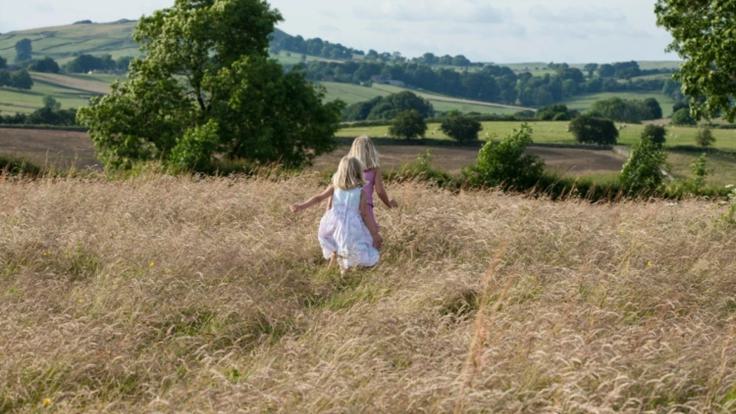 VPDD blog Upper Hurst farm 9
